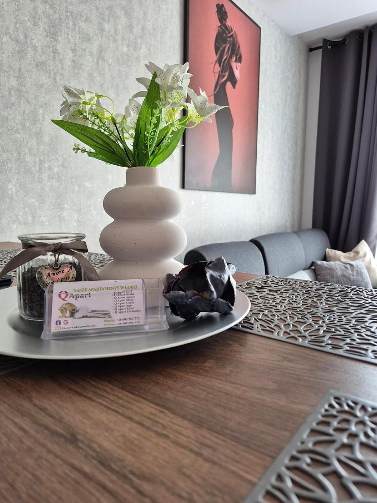 Q Pl 2 Lub 3 Pokojowe Klimatyzowane Przy Manufakturze Z Garazem Gratis, Fv Apartment Łódź